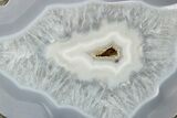 Polished Agate Replaced Petrified Wood Limb Cast - Oregon #326684-1